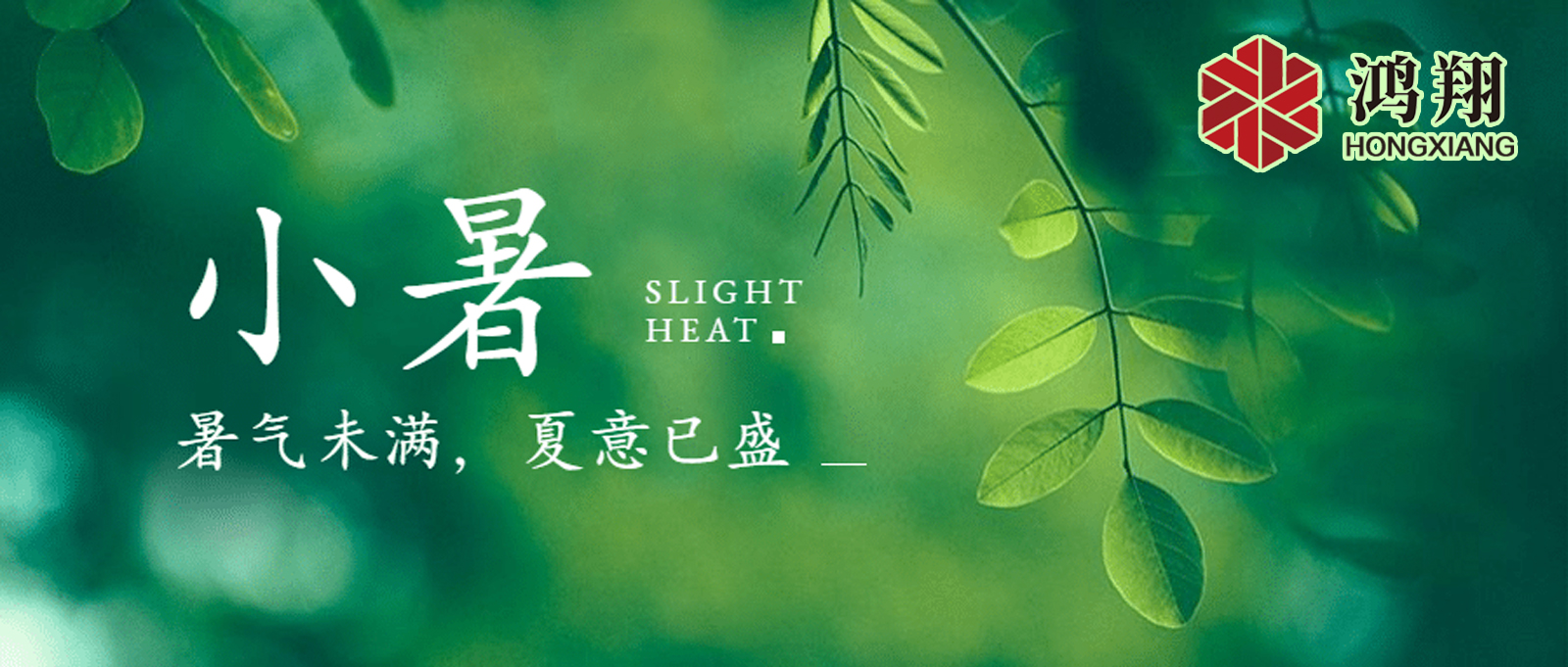 小暑| 標志著夏季的正式開始，也是一年中最熱的時候之一